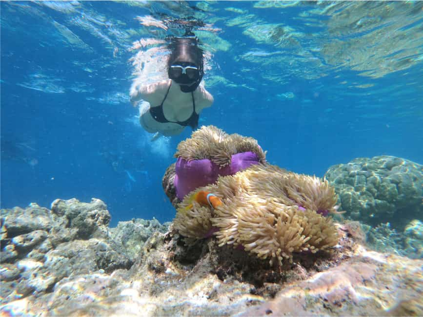 Safari Blue snorkeling Zanzibar